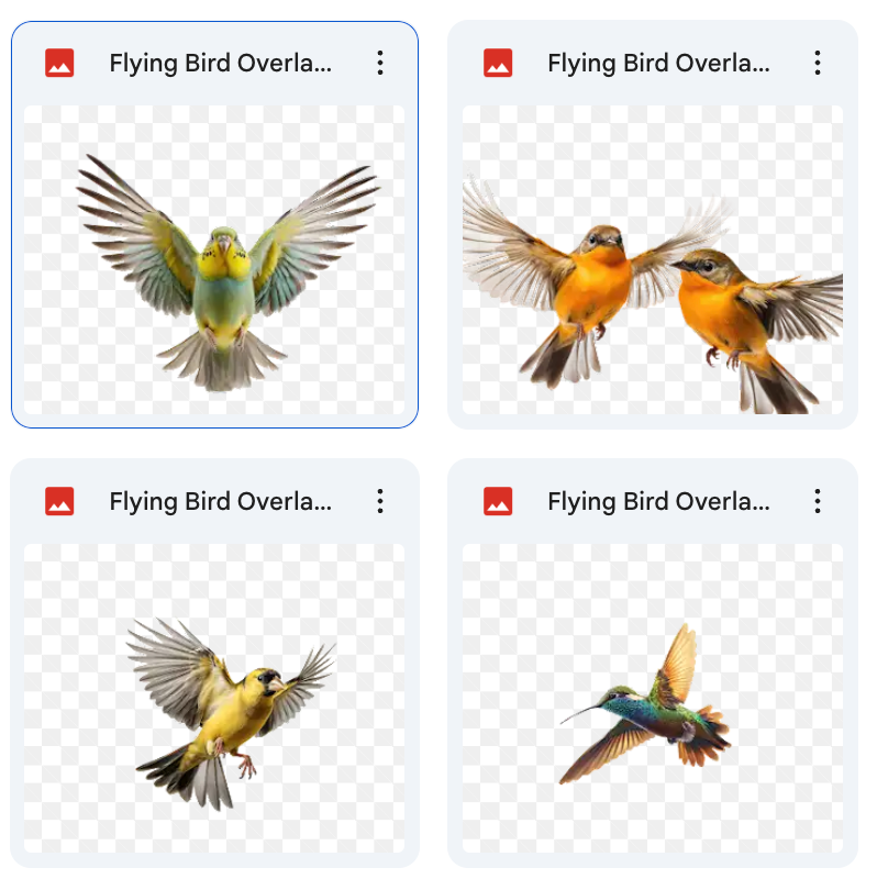 Bird Pattern Overlay Magical Flying Bird Overlays – Meg Bitton Productions