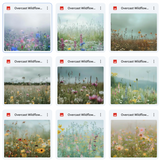 Ultimate Overcast Meadows Background Bundle