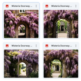 Wisteria Doorway Background Bundle