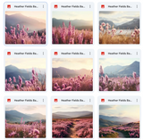 Ultimate Heather Fields Background Bundle