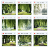 Ultimate Willow Tree Background Bundle