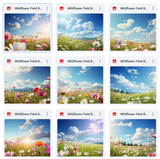 Butterfly Field Background & Overlays Asset Pack