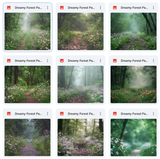 Dreamy Forest Path Background Bundle