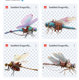 Magical Saddled Dragonfly Overlays