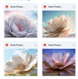 Book Flower Background Bundle