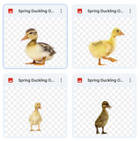 Magical Spring Duckling Overlays