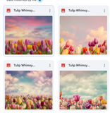 Tulip Whimsy Background Bundle