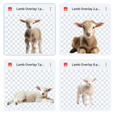 Magical Lamb Overlays