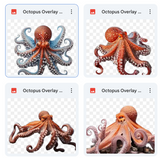 Magical Octopus Overlays