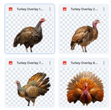 Magical Turkey Overlays