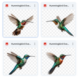 Magical Hummingbird Overlays