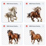 Magical Wild Horses Overlays