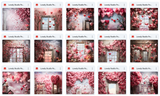 Ultimate Lovely Studio Portrait Background Bundle