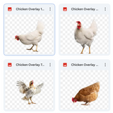 Magical Chicken Overlays