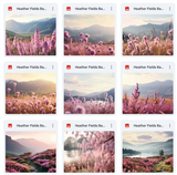 Ultimate Heather Fields Background Bundle