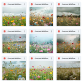 Ultimate Overcast Meadows Background Bundle
