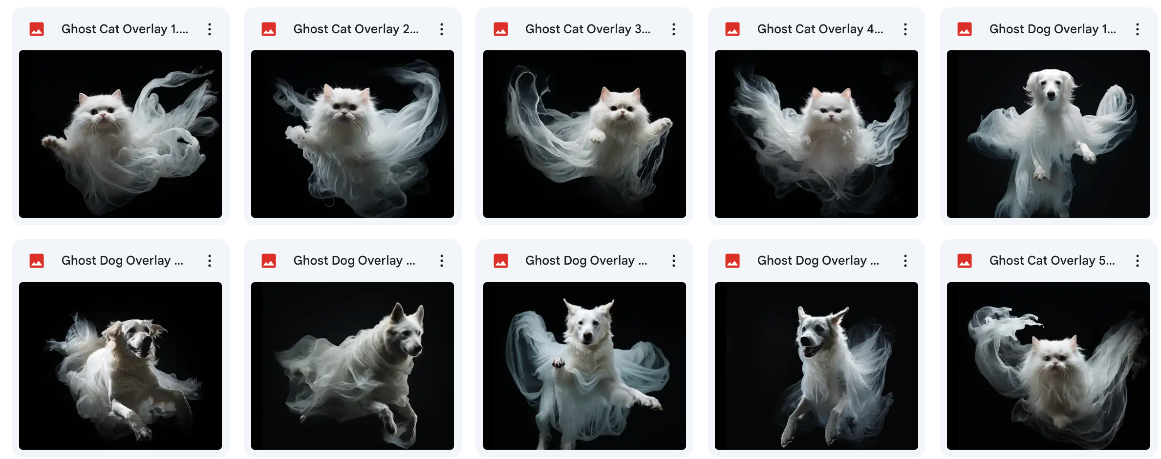 Ghostly Cats and Dogs Bundle - Meg Bitton Productions