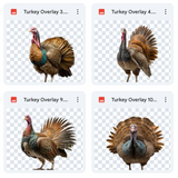 Magical Turkey Overlays