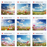 Butterfly Field Background & Overlays Asset Pack