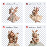 Magical Little Bunny Model Overlays