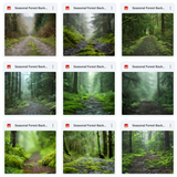 Ultimate Seasonal Forests Background Bundle