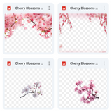 Magical Cherry Blossom Overlays