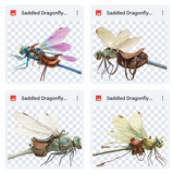 Magical Saddled Dragonfly Overlays