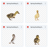 Magical Spring Duckling Overlays