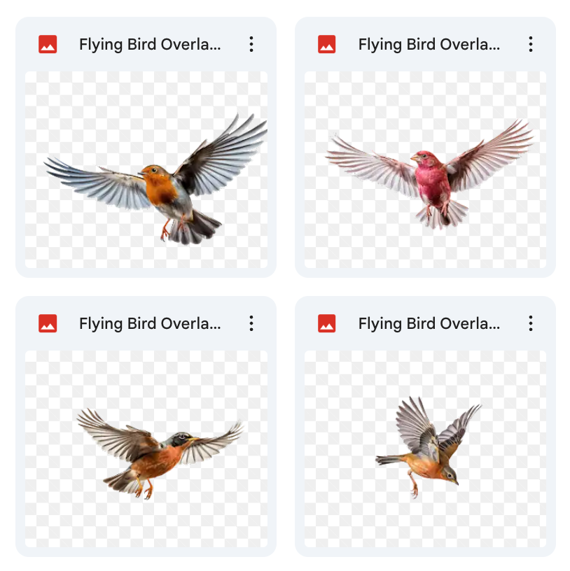 Bird Pattern Overlay Magical Flying Bird Overlays – Meg Bitton Productions