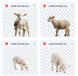 Magical Lamb Overlays