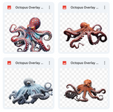 Magical Octopus Overlays