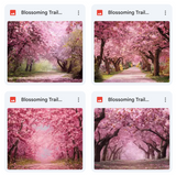 Blossoming Trail Background Bundle