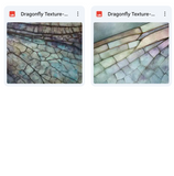 Magical Dragonfly Textures
