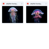 Magical Jellyfish Overlays