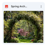 Spring Arch Background Bundle