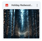 Holiday Redwoods Background Bundle