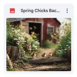 Spring Chicks Background Bundle