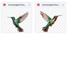 Magical Hummingbird Overlays