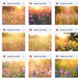 Ultimate Golden Hour Wildflowers Background Bundle