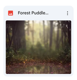 Forest Puddle Background Bundle