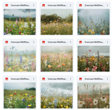 Ultimate Overcast Meadows Background Bundle