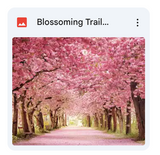 Blossoming Trail Background Bundle