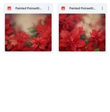 Magical Painted Poinsettia Textures