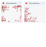 Magical Cherry Blossom Overlays