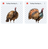 Magical Turkey Overlays