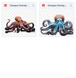 Magical Octopus Overlays