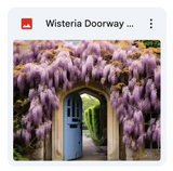 Wisteria Doorway Background Bundle