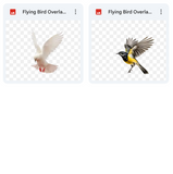 Magical Flying Bird Overlays