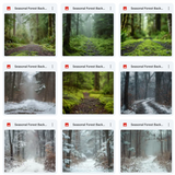 Ultimate Seasonal Forests Background Bundle