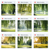 Ultimate Willow Tree Background Bundle